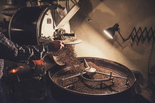Coffee roasting machine pouring out coffee beans that will influence the optimal coffee brewing temperature